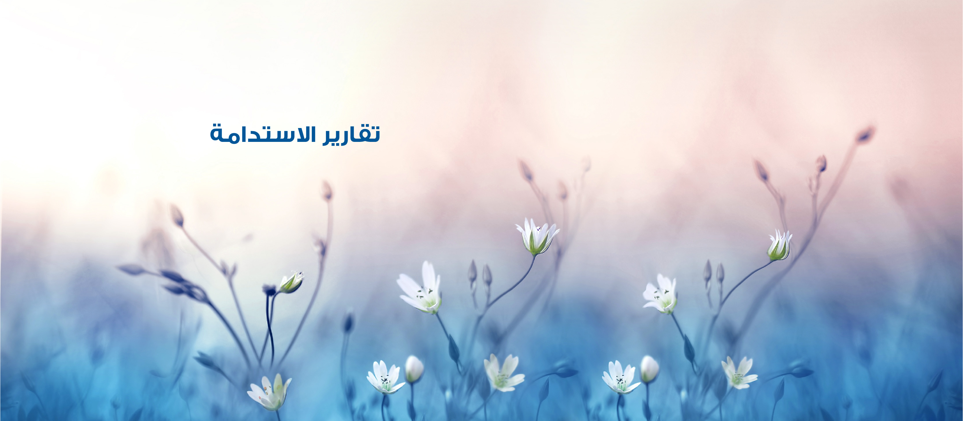 New Website 1600x700 amend3-02